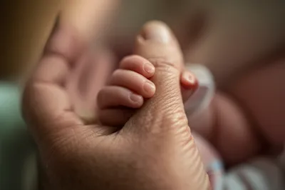 Illustration flesh - Image 1