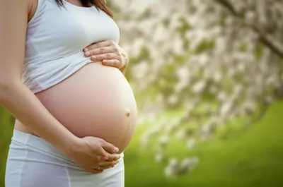 Illustration distend - Image 1