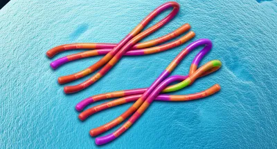 Illustration multivalent - Image 1