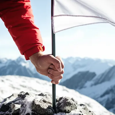 Illustration asserts - Image 1