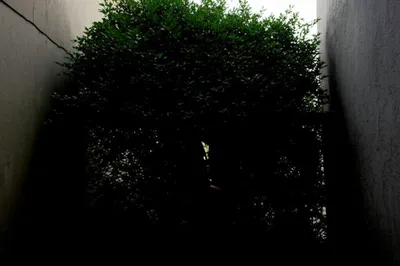 Illustration hide - Image 1