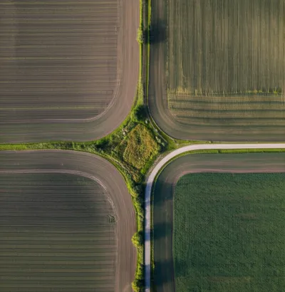 Illustration gores - Image 1