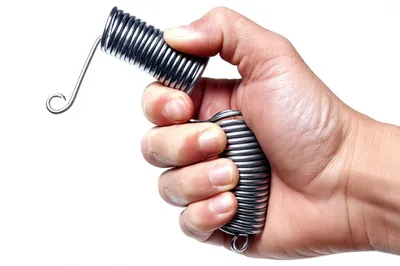 Hình ảnh minh họa springing - Ảnh 1