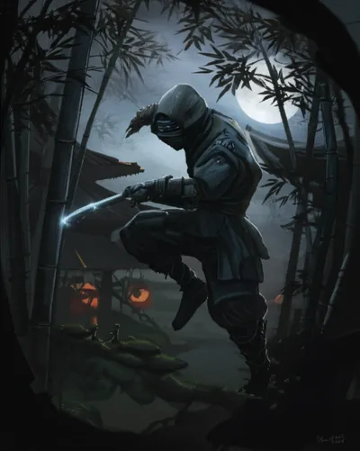 Hình ảnh minh họa ninjas - Ảnh 1