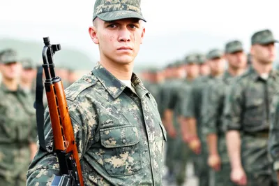 Illustration enlists - Image 1