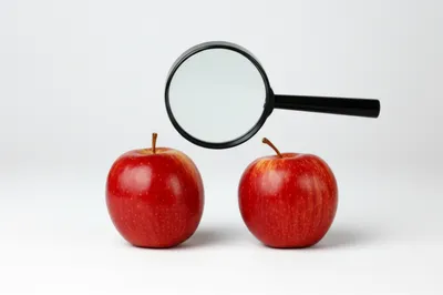 Illustration comps - Image 1