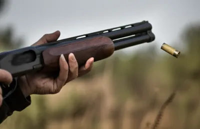 Illustration discharged - Image 1