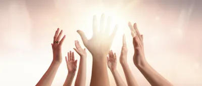 Illustration creeds - Image 1