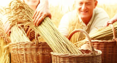 Illustration garner - Image 1