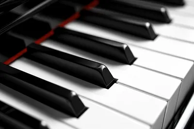 Illustration ebonies - Image 1