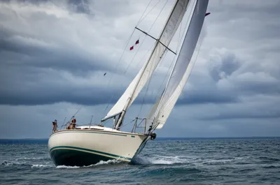 Illustration hauled - Image 1