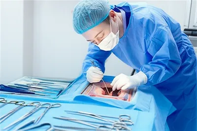 Illustration autopsied - Image 1