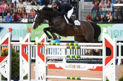 Illustration holstein - Image 1