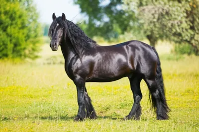 Illustration entire - Image 1