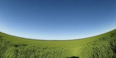 Illustration contracted