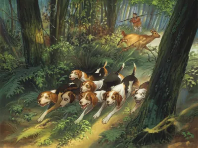 Illustration hunts - Image 1