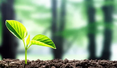 Illustration childhoods - Image 1