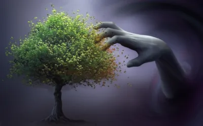 Illustration malign - Image 1