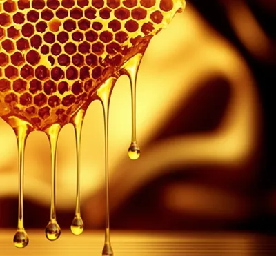 Illustration oozes - Image 1