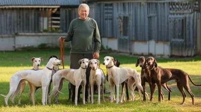 Illustration dogman - Image 1