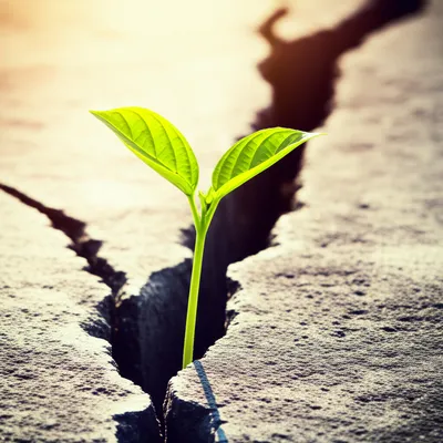 Illustration bettering - Image 1