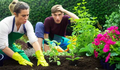 Illustration seeded - Image 1