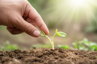 Illustration forcing - Image 1