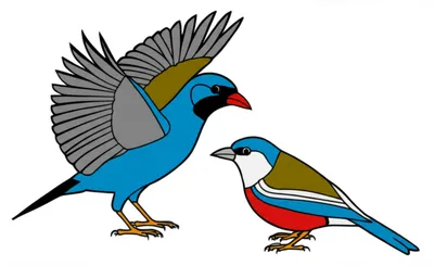 Illustration mate - Image 1