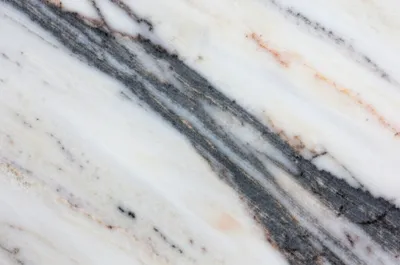 Illustration vein - Image 1