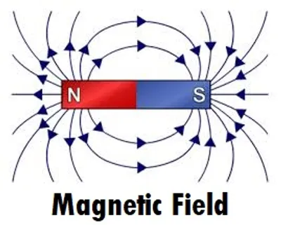 Illustration field - Image 4