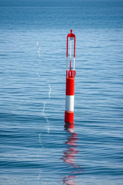 Illustration highflier - Image 1