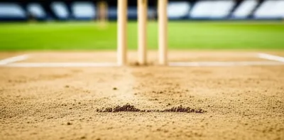 Illustration guards - Image 1