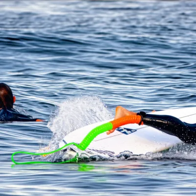 Illustration leash - Image 1