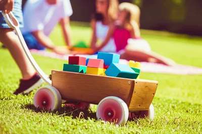 Hình ảnh minh họa trundled - Ảnh 1