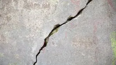 Illustration crevice - Image 2