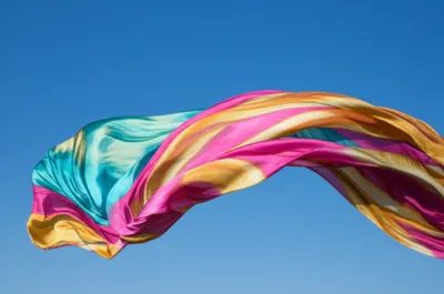 Illustration flaunt - Image 1