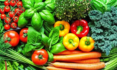 Illustration vegetal - Image 1