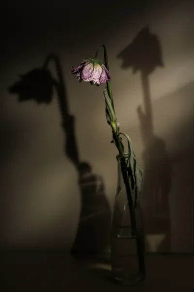 Illustration downer - Image 1