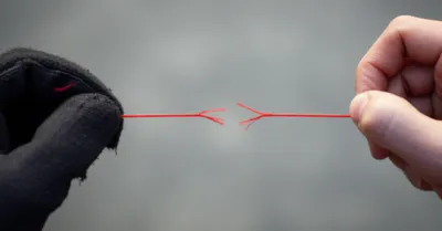 Illustration pulling - Image 1