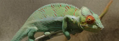 Illustration subtleties