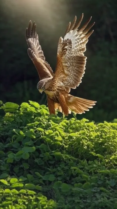 Illustration point - Image 1