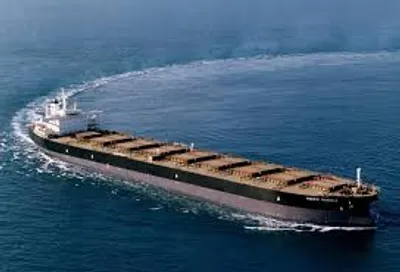 Illustration sheer - Image 3