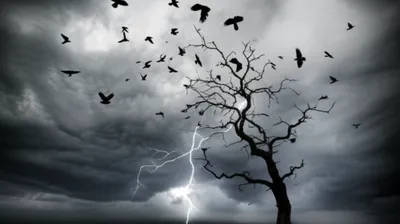 Illustration forebodings - Image 1