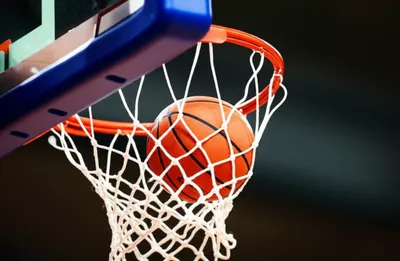 Illustration basket - Image 1