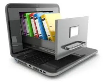 Illustration capture - Image 3