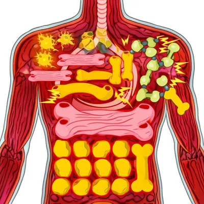 Illustration metabolizes
