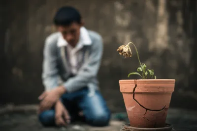 Illustration apologise - Image 1