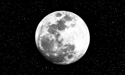 Illustration fulls - Image 1