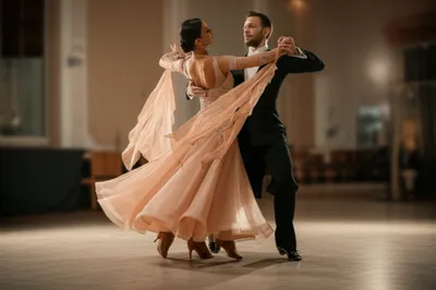 Illustration gliders - Image 1