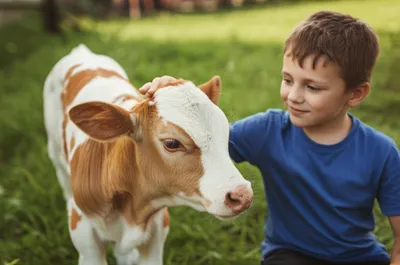 Illustration sooks - Image 1